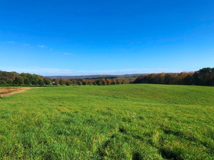 Undeveloped Land in Chenango County, New York
