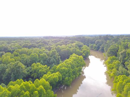 Undeveloped Land in Tyler County, Texas
