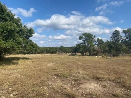 Farm and Ranch for sale in Gillespie County, Texas