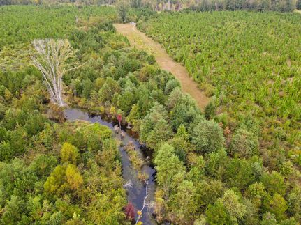 Land in Macon County, Alabama