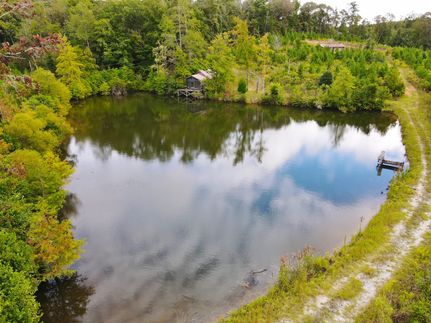 Timberland Property in Pike County, Alabama