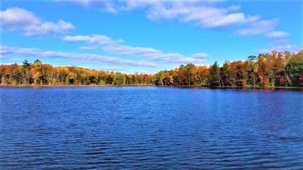 Farm and Ranch in Oneida County, Wisconsin