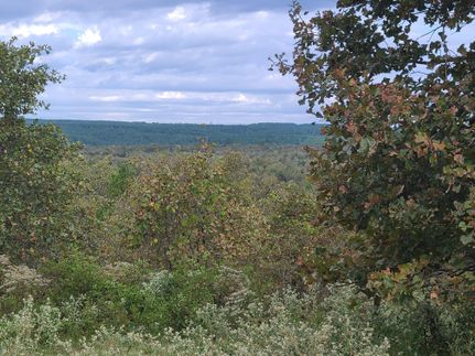 Undeveloped Land in Pushmataha County, Oklahoma