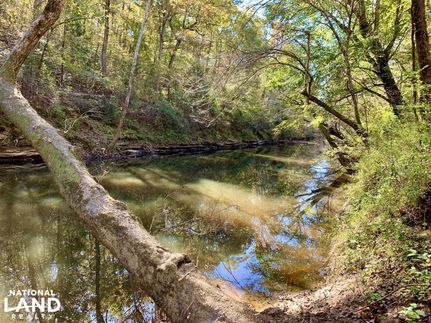 Timberland Property in Fayette County, Alabama