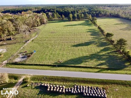 Hunting Property in Washington County, Alabama