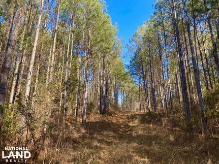 Hunting Property in Hale County, Alabama