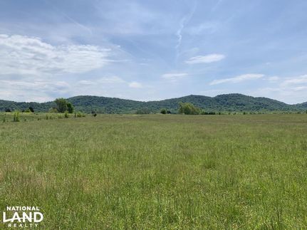Timberland Property in Jefferson County, Tennessee