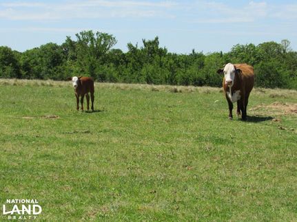 Farm and Ranch in Seminole County, Oklahoma