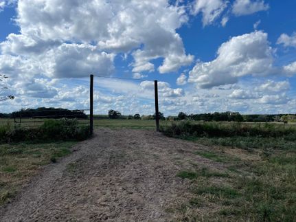Undeveloped Land in Angelina County, Texas