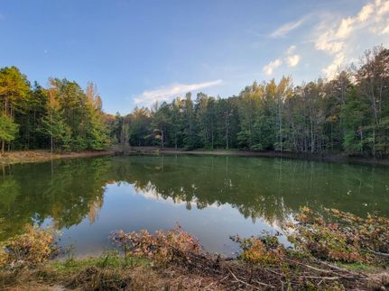 Timberland Property in McNairy County, Tennessee