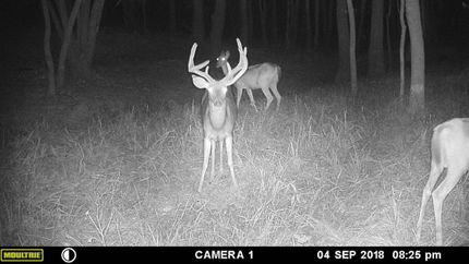 Recreational Property in Crittenden County, Kentucky