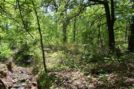 Land in Okfuskee County, Oklahoma