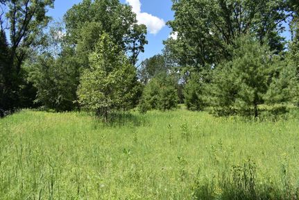 Undeveloped Land in Marinette County, Wisconsin
