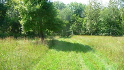 Timberland Property in Bay County, Michigan