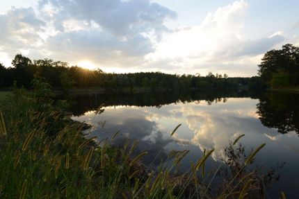 Timberland Property in Talladega County, Alabama