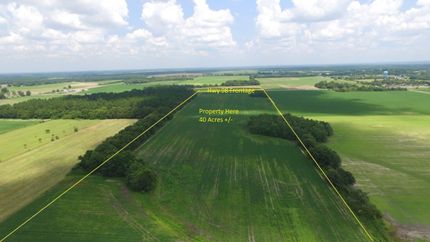 Timberland Property in Baldwin County, Alabama