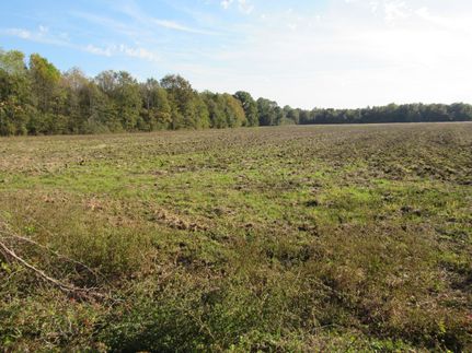 Farm and Ranch in Ashley County, Arkansas