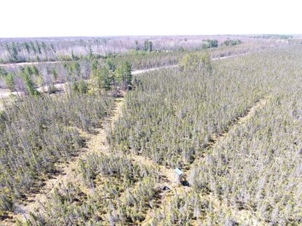 Timberland Property in Marathon County, Wisconsin