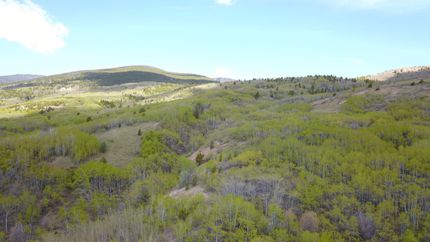 Timberland Property in Deer Lodge County, Montana