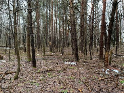 Land in Ashtabula County, Ohio