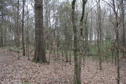 Farm and Ranch in Wilkinson County, Mississippi