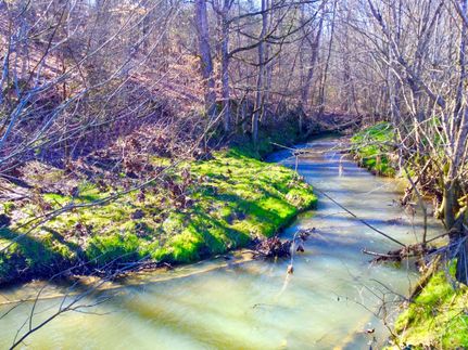 Farm and Ranch in Greene County, Tennessee