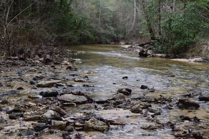 Timberland Property in Monroe County, Alabama