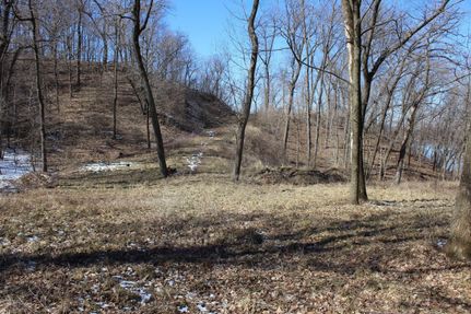 Land in Putnam County, Illinois