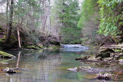 Recreational Property in Owsley County, Kentucky