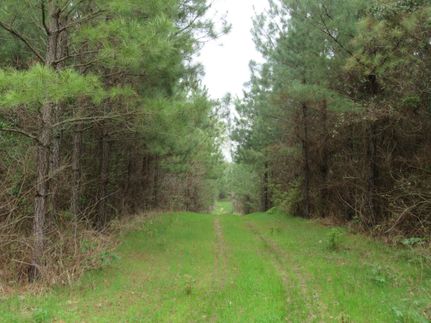 Hunting Property in Lincoln County, Arkansas