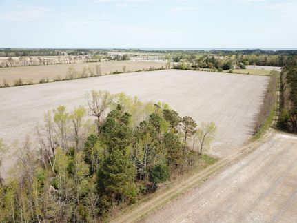 Timberland Property in Currituck County, North Carolina