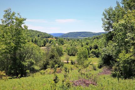 Hunting Property in Steuben County, New York
