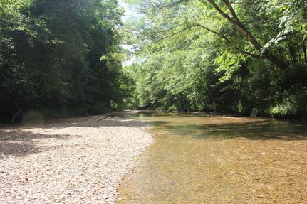 Hunting Property in Franklin County, Mississippi