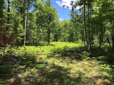 Recreational Property in Missaukee County, Michigan