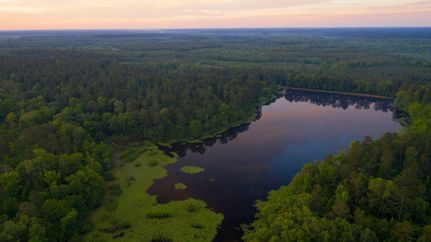 Hunting Property in Claiborne Parish, Louisiana