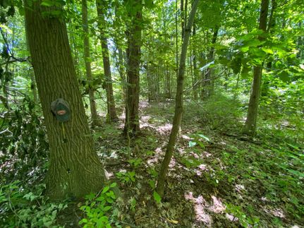 Timberland Property in Crawford County, Pennsylvania