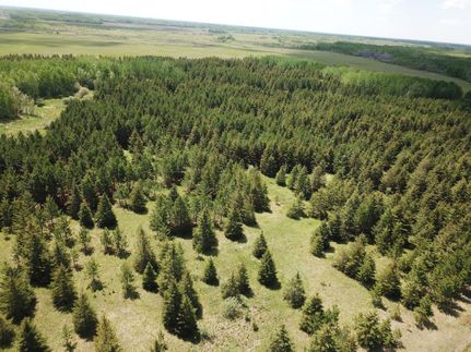 Hunting Property in Lake of the Woods County, Minnesota