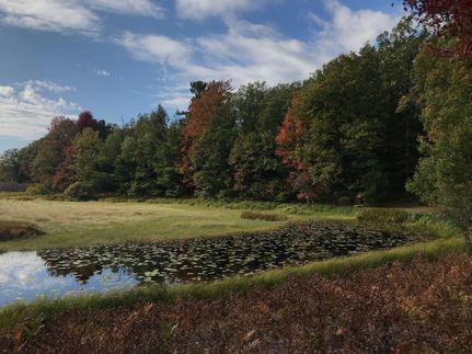Farm and Ranch in Grand Traverse County, Michigan