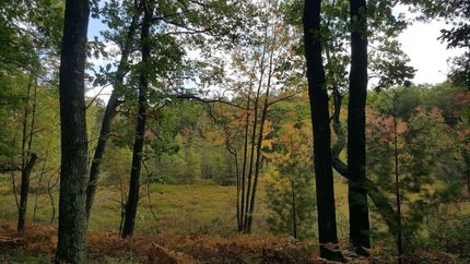 Undeveloped Land in Grand Traverse County, Michigan