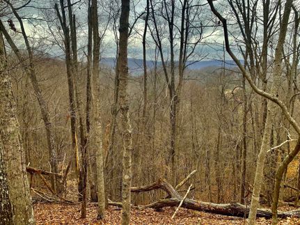 Hunting Property in Sullivan County, Tennessee