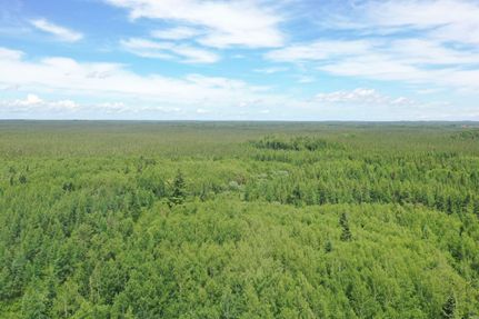 Timberland Property in Saint Louis County, Minnesota