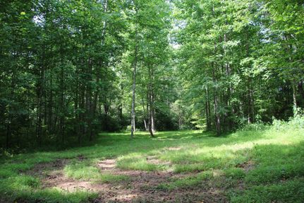 Timberland Property in Nelson County, Virginia