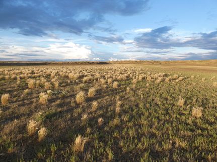 Undeveloped Land in Albany County, Wyoming