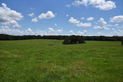 Timberland Property in Marion County, Florida