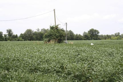 Land in Richland Parish, Louisiana