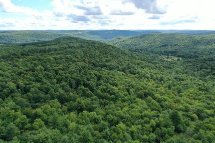 Timberland Property in Delaware County, New York