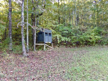 Recreational Property in Van Buren County, Arkansas