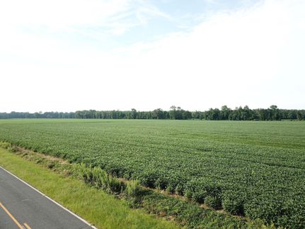Hunting Property in Chowan County, North Carolina