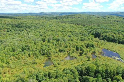 Hunting Property in Otsego County, New York