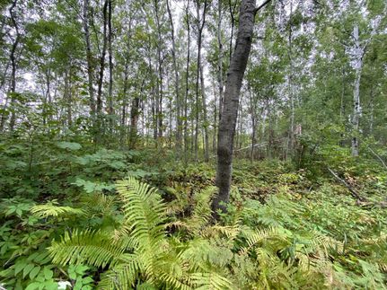 Recreational Property in Aitkin County, Minnesota